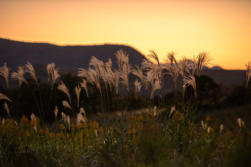 秋の平尾台の夕暮れ