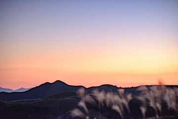 秋の平尾台の夕暮れ