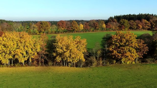  landscape with autumnal colored trees