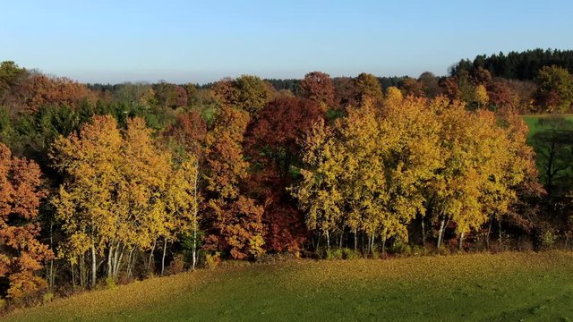Landscape with autumnal colored trees