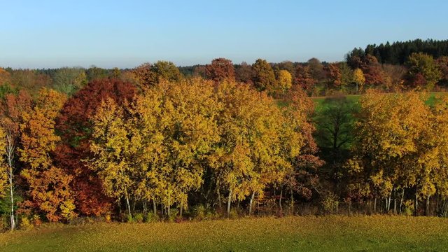 Landscape with autumnal colored trees
