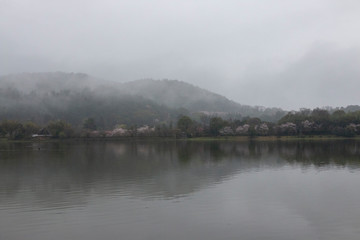 京都ぶらり、春雨に煙る広沢の池