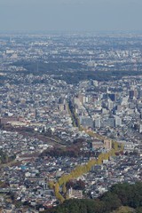 Obraz premium 高尾山から見下ろす街並み