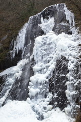 Fototapeta na wymiar 白猪の滝（Waterfall of Shirai）