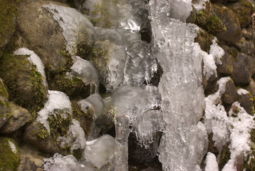 雪化粧（Covered with snow）