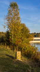 Smartphone HD wallpaper of indian summer at the Isar near Zulling - Bavaria - Germany