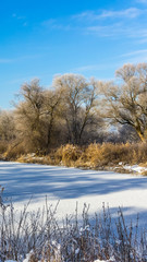 Fototapeta premium Smartphone HD wallpaper of beautiful winter view near Thundorf - Bavaria - Germany