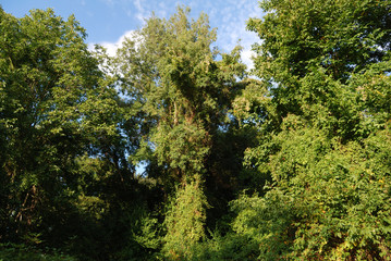 L'incredibile fiume Veleka
