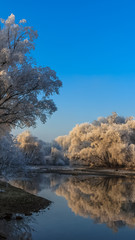 Naklejka na ściany i meble Smartphone HD wallpaper of beautiful winter view near Thundorf - Bavaria - Germany