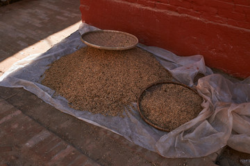 Bakthapur Reis
