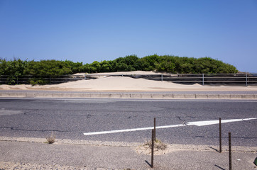 砂丘の隣の道路