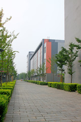 School building scenery, closeup of photo