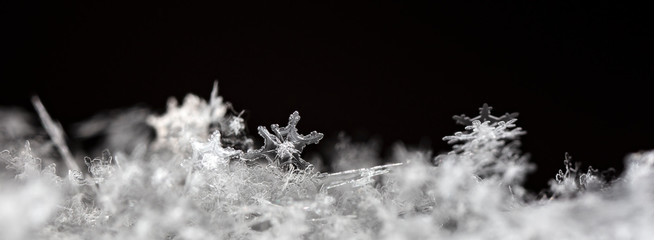 snowflake in the snow, winter
