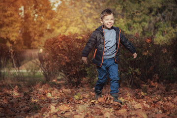 Fototapeta premium Cute baby boy walks in the park in the fall.
