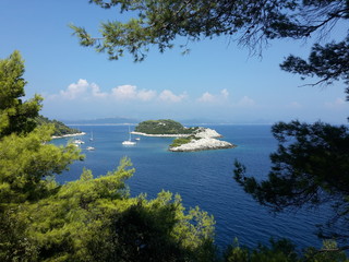 Fototapeta na wymiar Coast of island Mljet, Croatia
