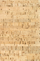 Natural cork texture