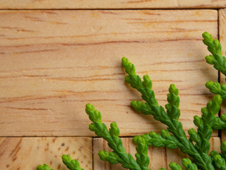 Green leaves on wooden background, Leaves on wooden texture background, Nature background.