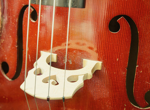 cello closeup