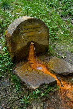 Mineral water spring (Balbin&acute;s Spring - Balbinuv pramen) in the spa forest near the spa town Marianske Lazne (Marienbad) - great famous Bohemian spa town in the west part of the Czech Republic