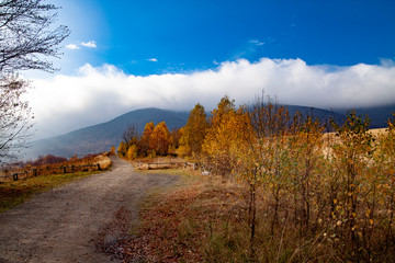 Fototapeta premium Landscape of autumnal peaks of the Carpathians.