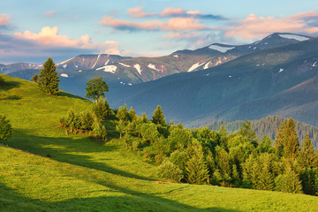 Obraz premium Morning mountain landscape, summertime outdoor background