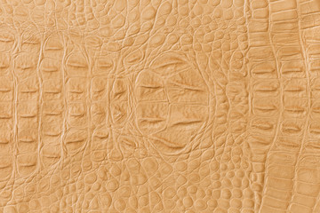 Yellow crocodile skin texture.