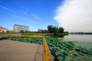 Buildings and wooden trestle in a park