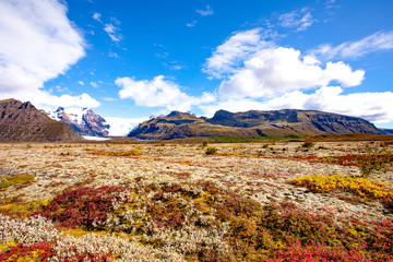 Beautiful blooming mountain landscape with blue sky and clouds. Europe. Iceland