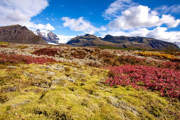 Beautiful blooming mountain landscape with blue sky and clouds. Europe. Iceland