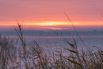 Morgenstunde am bodden