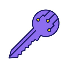 Private digital key color icon