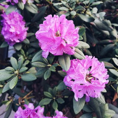 Processed with VSCO with a5 preset