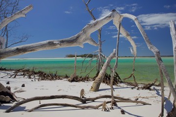 Fraser Island, Australia