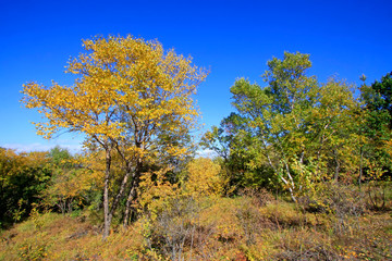 Fototapeta premium mountain natural scenery