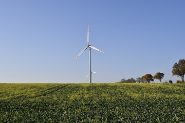 The wind farm of Gniezdzewo © Adam