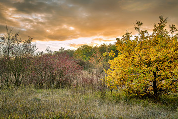 Sonnenuntergang über dem Naturschutzgebiet