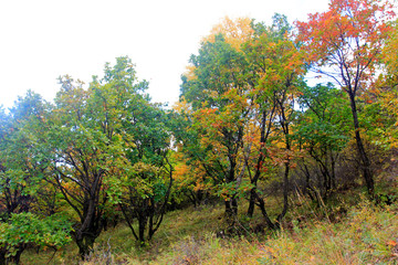 mountain natural scenery