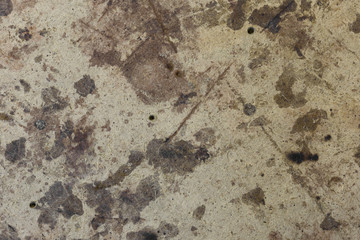 Dark brown spots on the surface of beige cardboard.