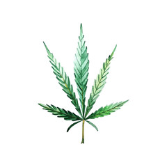 Green cannabis leaf for your design projects. Watercolor illustration