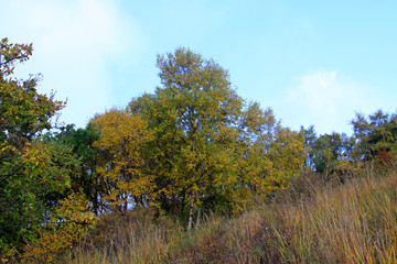 mountain natural scenery