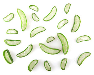Aloe Vera Plant Isolated On White Background