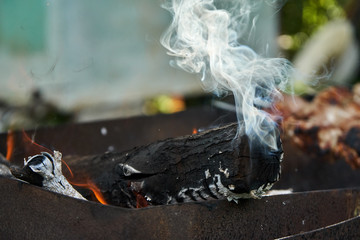Burning logs in the grill, smoking log