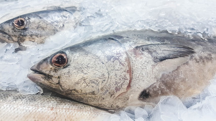 The Fresh Tuna on ice for sale in the supermarket.