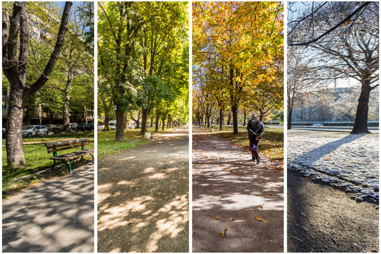 Four seasons concept. The effect of the 4 seasons on the urban environment. Four pictures of one place captured during one year and seamlessly blended in one photography composite.