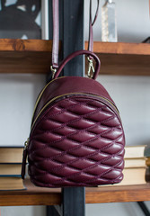 Burgundy leather backpacks in front of wooden bookcase shelf, womens leather backpacks, the front of the Burgundy rucksack