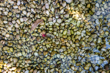 variety of gravel decorated on ground with some water