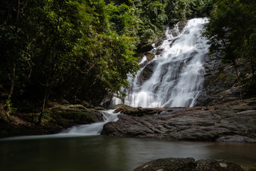 Fototapeta premium A beautiful waterfall in the tropical rainforest