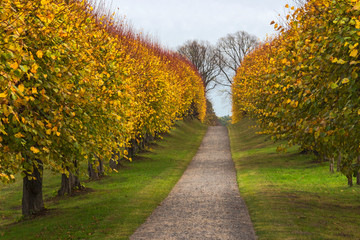 Naklejka premium Autumn nature scene mecklenburg germany no people