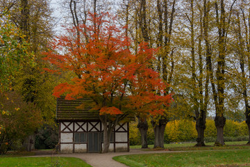 Autumn nature scene mecklenburg germany no people