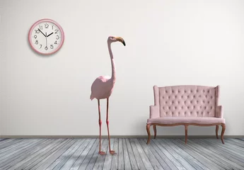 Gordijnen Pink flamingo in home room © tankist276